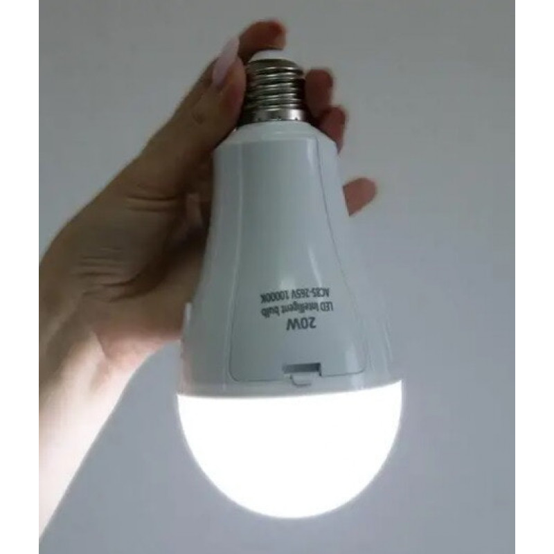 Лампа кемпінгова в цоколь E27, 20W, 2x18650, AC/DC, 8440
