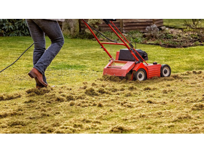 Когда и как часто следует использовать скарификатор ?