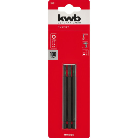 Набір торсіонних біт 100 мм, Torx T25/30/40, 3 шт, KWB (123242)