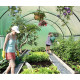 Теплиця садова, парник Holla Garden Польща 6м2 (300х200х200)