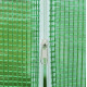 Теплиця садова, парник Holla Garden Польща 6м2 (300х200х200)