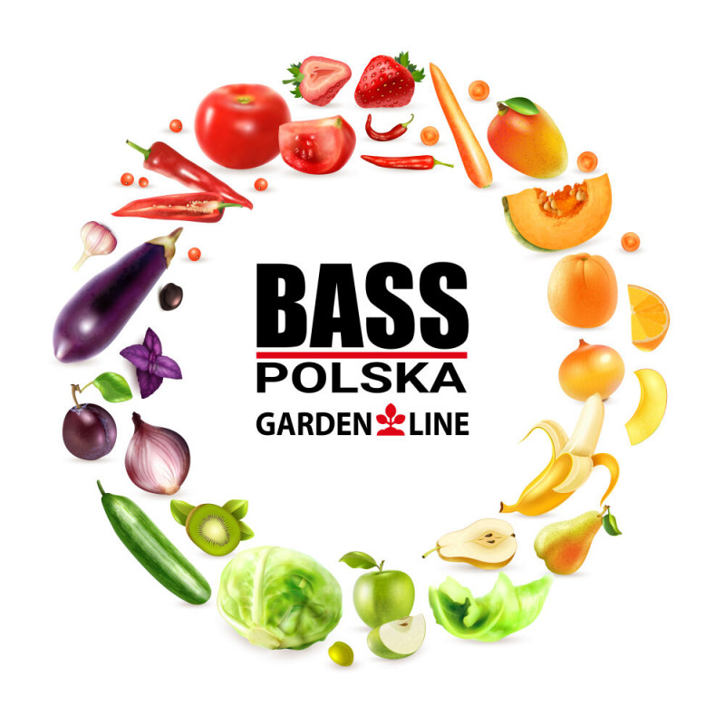 Садова плівка для теплиці 18 м2 (6 х 3 х 2 м) BASS POLSKA, UV-12, Прозора