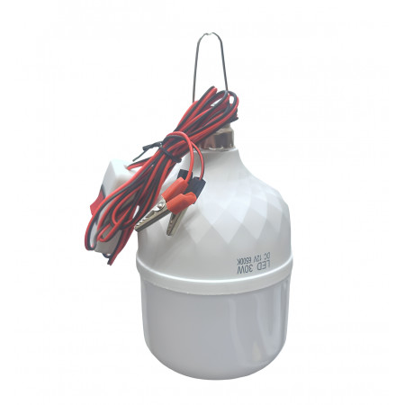 Світлодіодна LED лампочка PL DC12 12W